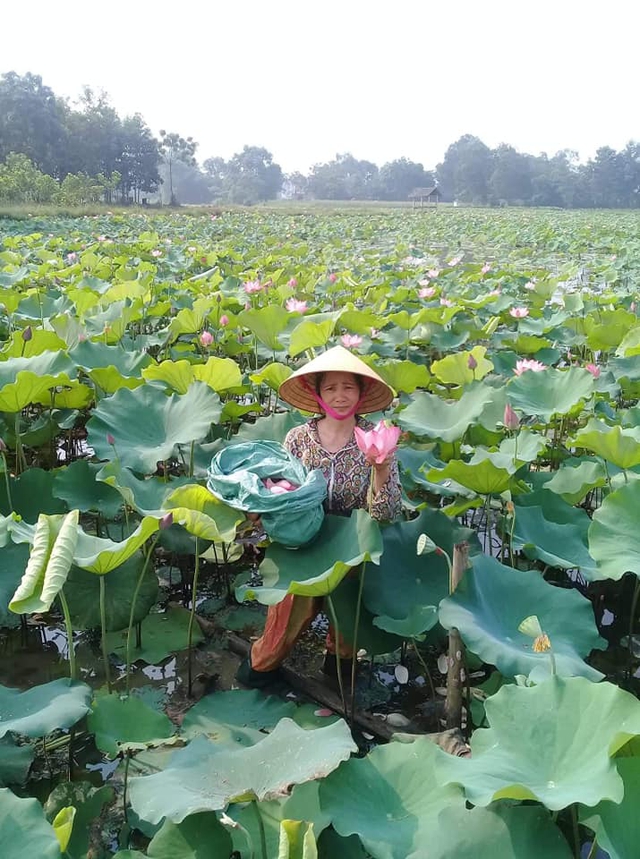 Chàng trai 25 tuổi bỏ ngang đại học về quê, kiếm tiền tỷ nhờ đam mê với lá cây - Ảnh 8.