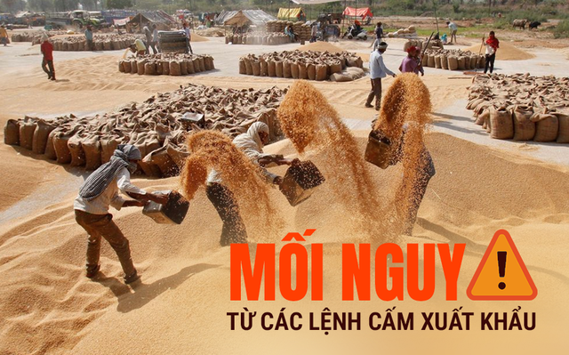 Rất nhiều quốc gia dừng xuất khẩu lương thực thực phẩm