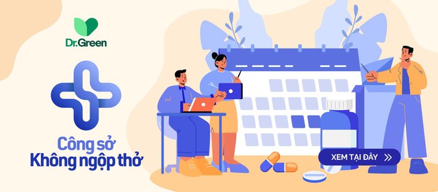 Làm việc ở Startup hay doanh nghiệp lớn, đâu là lựa chọn thông minh? - Ảnh 3.