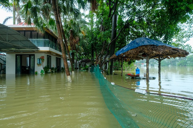 Ra sân kích cá, lội nước hái hoa, chèo thuyền đi thăm lúa sau mưa lớn ở Hà Nội - Ảnh 1.