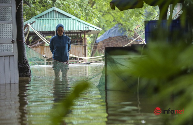 Nước sông lên cao, hàng chục hộ dân ở ngoại ô Hà Nội chìm trong biển nước - Ảnh 9.