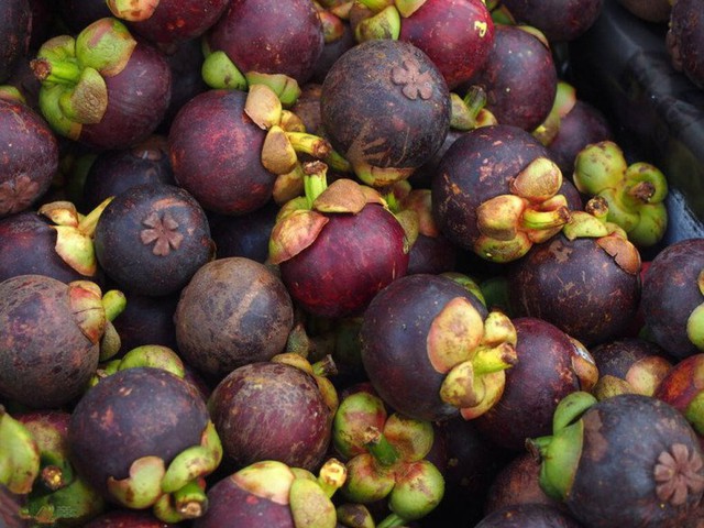   Buy damaged mangosteen, growers tell to look at one spot on the peel, make sure that any fruit is delicious - Photo 5.