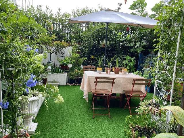 Cặp vợ chồng chi gần 200 triệu cải tạo sân vườn rộng 40m², nhìn vào thành quả mới thấy hoàn toàn đáng giá - Ảnh 26.