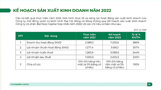 Năm 2022 sẽ bùng nổ IPO của Bamboo Capital: Đưa Nguyễn Hoàng, BCG Land và BCG Energy lên sàn, giá khởi điểm có thể từ 20.000 đồng/cp - Ảnh 7.