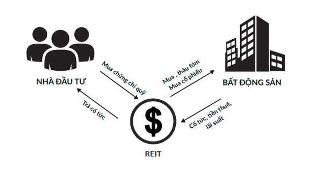 Learn about REIT: A tool to help the real estate market purge nature, and investors can 