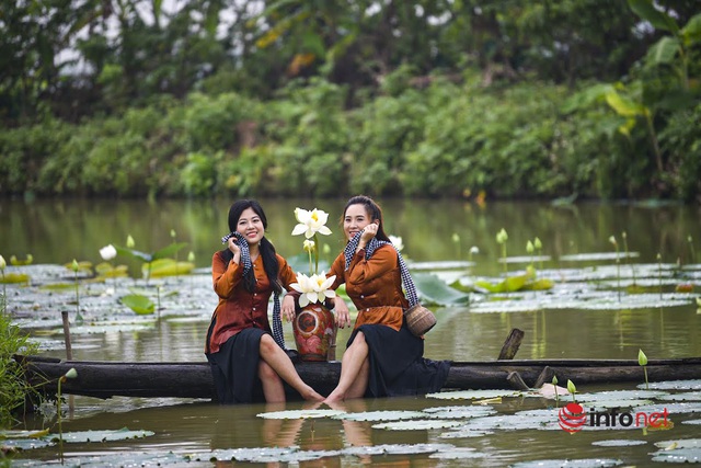 Đầm sen trắng nở rộ, hàng trăm người nô nức kéo về check-in mỗi ngày - Ảnh 8.