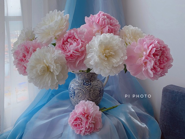 Thú chơi cắm hoa peony trong nhà được nhiều chị em theo đuổi, mặc kệ giá lên đến vài trăm nghìn/bông, nghe lí do ai cũng bất ngờ - Ảnh 1.