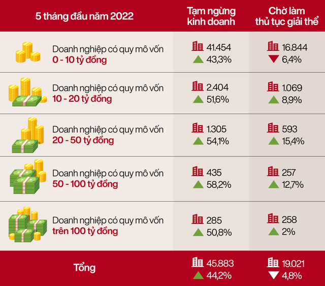 Trung bình mỗi ngày có 46 doanh nghiệp đóng cửa, họ là những ai, tại sao phải rời thị trường? - Ảnh 2.