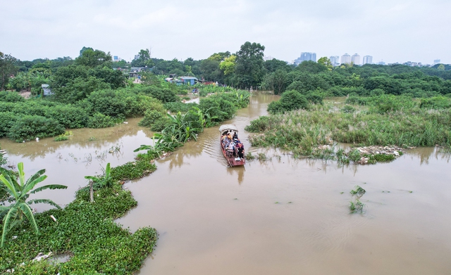 Hà Nội: Bãi giữa sông Hồng biến thành ốc đảo, người dân phải đi đò vào bờ - Ảnh 1.