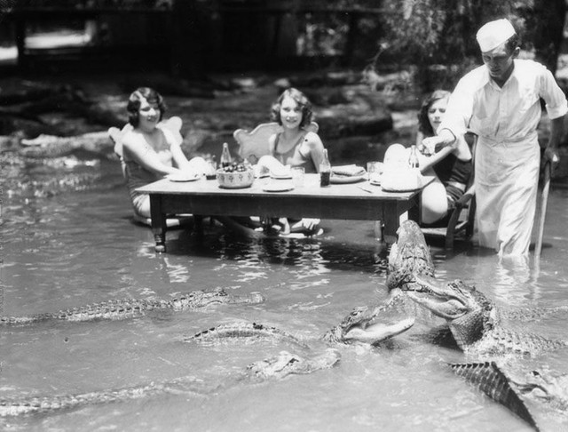 Những bức ảnh hiếm hoi về trại cá sấu những năm 1920 tại California, nơi trẻ em có thể cưỡi và chơi với cá sấu! - Ảnh 13.