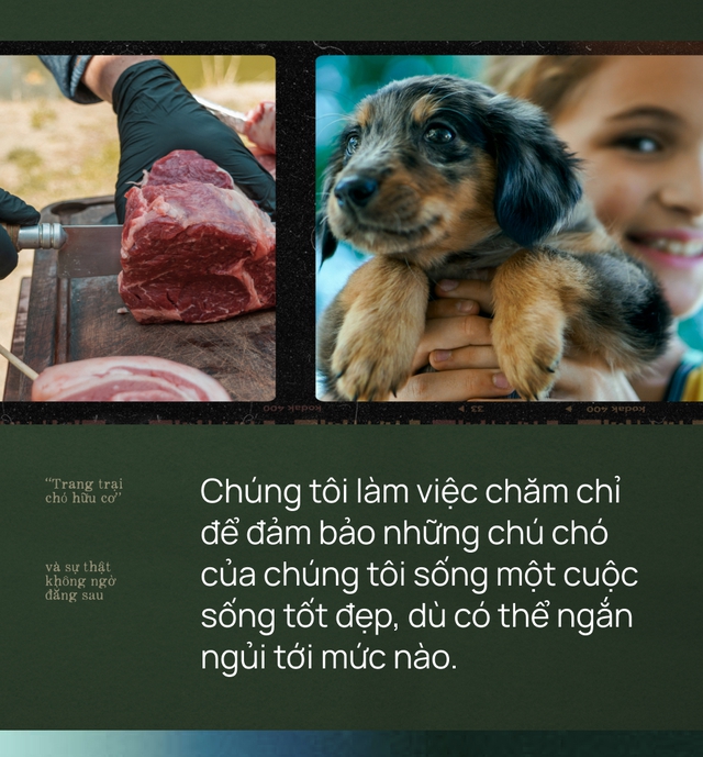 “Trang trại thịt chó hữu cơ Elwood” - mô hình kinh doanh ngang nhiên thách thức cộng đồng người yêu chó, bất ngờ lại thành công vang dội - Ảnh 4. “Trang trại thịt chó hữu cơ Elwood” - mô hình kinh doanh ngang nhiên thách thức cộng đồng người yêu chó, bất ngờ lại thành công vang dội - Ảnh 4.