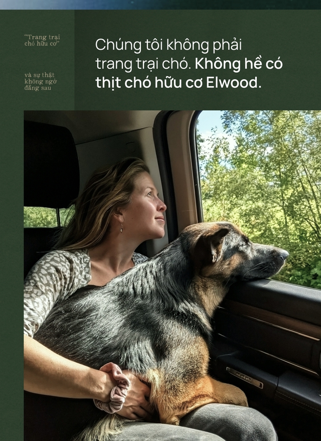“Trang trại thịt chó hữu cơ Elwood” - mô hình kinh doanh ngang nhiên thách thức cộng đồng người yêu chó, bất ngờ lại thành công vang dội - Ảnh 6. “Trang trại thịt chó hữu cơ Elwood” - mô hình kinh doanh ngang nhiên thách thức cộng đồng người yêu chó, bất ngờ lại thành công vang dội - Ảnh 6.