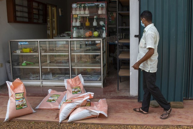 Sri Lanka: Dân gác cuốc ngừng cấy lúa, chỉ dám mua cá, trứng mỗi tháng 1 lần - Ảnh 2.