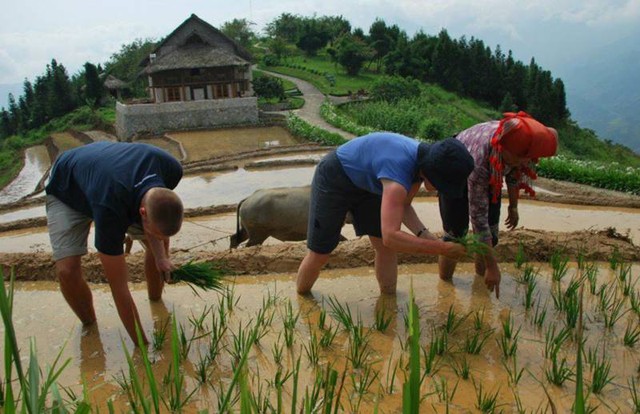 Sapa có khu nghỉ dưỡng sinh thái đẹp nhất thế giới: Resort xanh giữa đại ngàn, bể bơi vô cực nước ấm view đẹp nín thở’, sử dụng hoàn toàn năng lượng mặt trời - Ảnh 13.