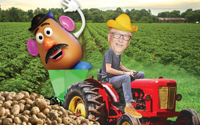 Tỷ phú Bill Gates vừa mua 2.100 mẫu đất trồng khoai tây ở phía bắc North Dakota