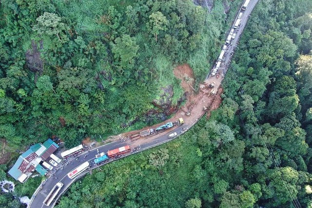 Lâm Đồng xin chuyển đổi hơn 186ha rừng làm cao tốc Tân Phú - Bảo Lộc - Ảnh 2.