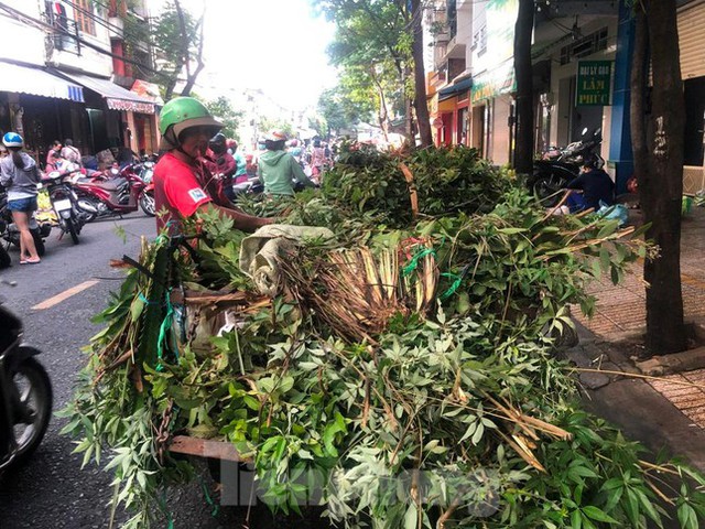  ‘Bán hết xe lá xông, kiếm được 500.000 đồng…’  - Ảnh 1.