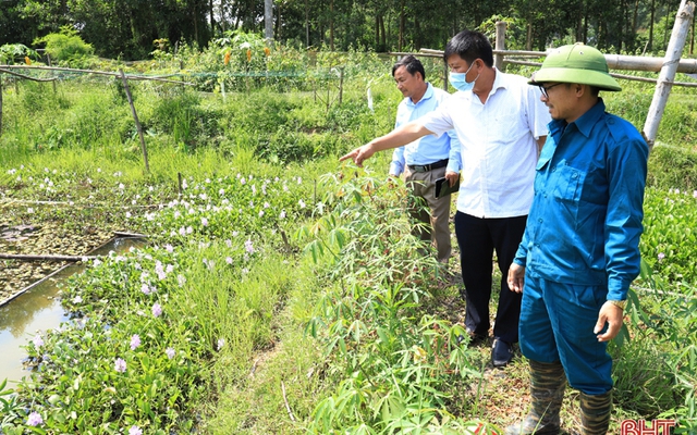 Cán bộ Hội Nông dân huyện Can Lộc tham quan mô hình nuôi ốc bươu đen của anh Phạm Viết Sỹ