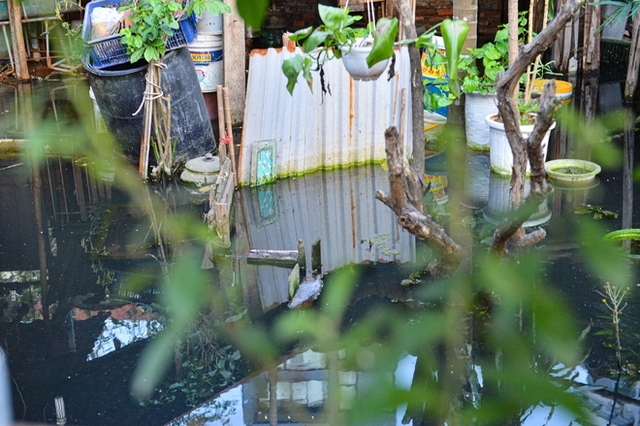  Hà Nội: Một tuần sau mưa lớn, cuộc sống của hàng trăm người dân ở quận Tây Hồ vẫn đảo lộn do ngập sâu - Ảnh 6.