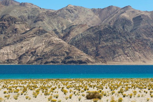 Yamdrok - hồ nổi tiếng nhất Tây Tạng có trữ lượng cá cả triệu tấn nhưng không ai dám ăn, lý do khiến nhiều người bất ngờ - Ảnh 12.