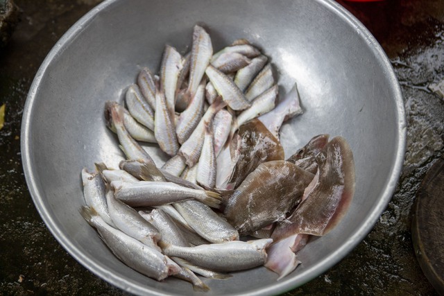 Về miền Tây xem cách người dân làm món cá khô - đặc sản “chữa cháy” bữa cơm mà trong tủ lạnh quanh năm lúc nào cũng phải “trữ” - Ảnh 3.