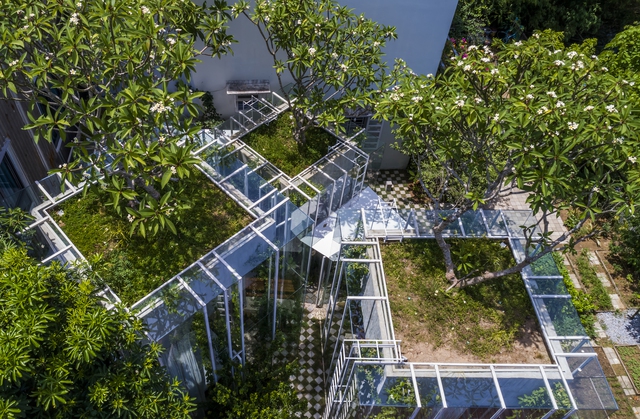 Căn nhà bọc kính ngập tràn cây xanh của cặp vợ chồng Huế - Ảnh 4.