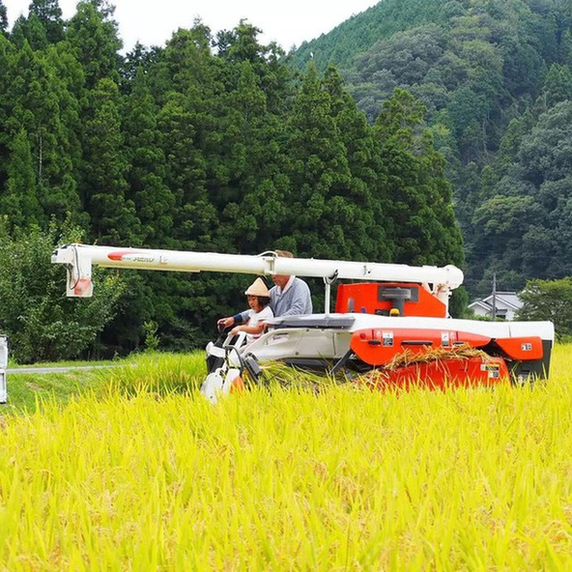  Bán nhà thành phố về quê sống đời nhẹ tênh: Mua hẳn 12.000m2 đất làm trang trại, xây biệt thự trên cánh đồng - Ảnh 15.