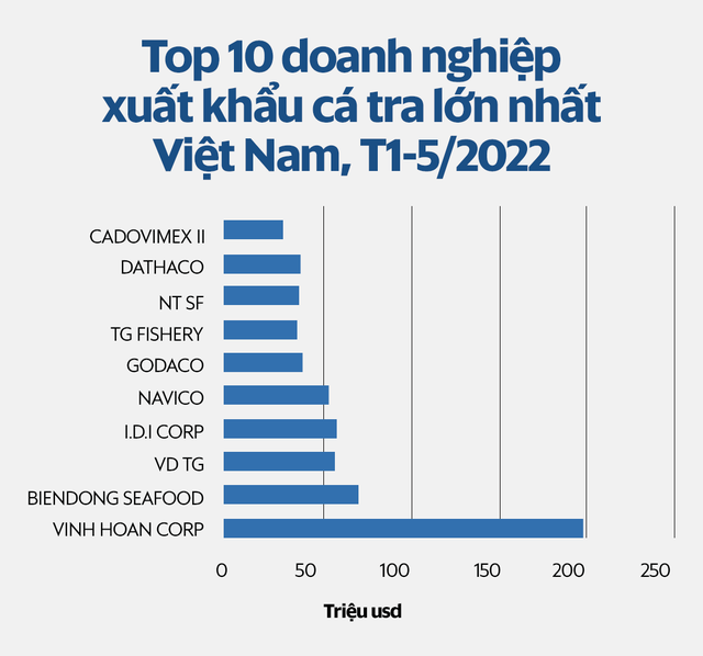 Những ngày nắng đẹp của ngành cá tra dần tắt, “mây đen” đang kéo đến trước mắt Vĩnh Hoàn, Nam Việt - Ảnh 1.