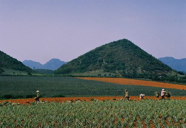  Đến Ninh Bình, đừng chỉ sống ảo với Hang Múa hay Tràng An mà bỏ qua nhiều cảnh sắc đẹp và hùng vĩ không kém - Ảnh 10.