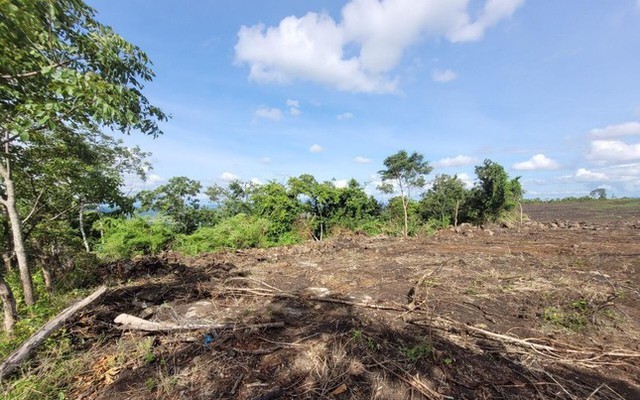 3ha rừng bị cày ủi trái phép ở xã H'Bông