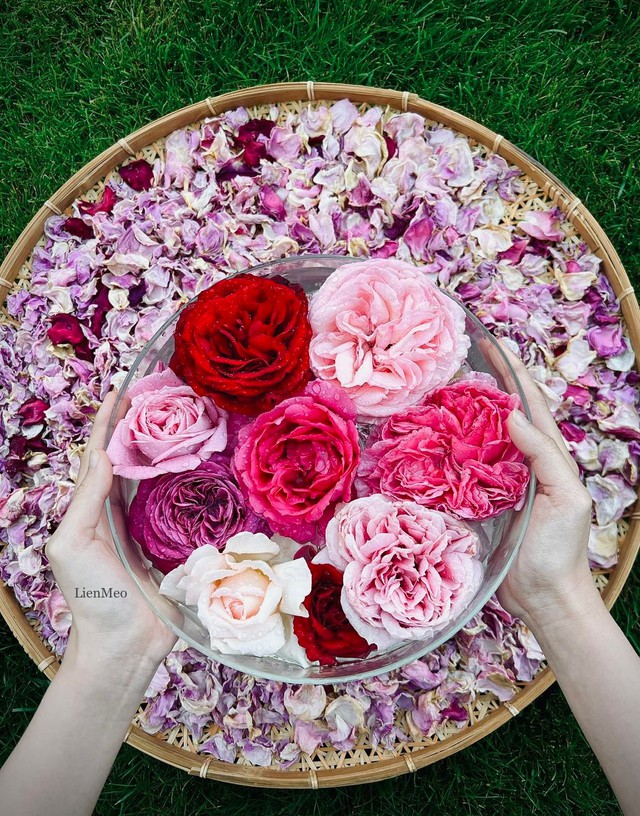 Mãn nhãn khu vườn ngập tràn hoa hồng đẹp tựa chốn bồng lai của mẹ Việt ở Đức - Ảnh 4.