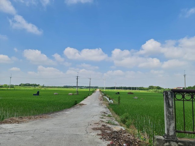  Huyện lên quận ở Hà Nội: Sẽ có những phường vẫn cấy lúa  - Ảnh 1.