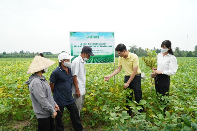 Chuyện đi gieo hạt của Vinasoy: Rút ngắn một nửa thời gian phát triển nguồn gene tốt, dồn lực vào vùng trồng ở miền Tây - Ảnh 13.