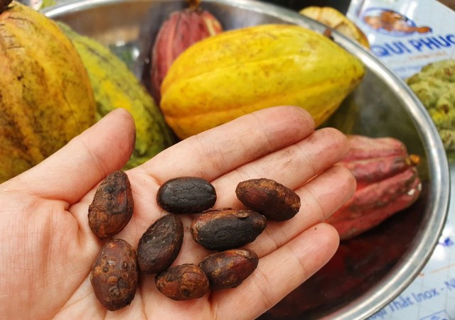 Hồ Lắk bình yên giữa đại ngàn Tây Nguyên - Ảnh 6. Hồ Lắk bình yên giữa đại ngàn Tây Nguyên - Ảnh 6.