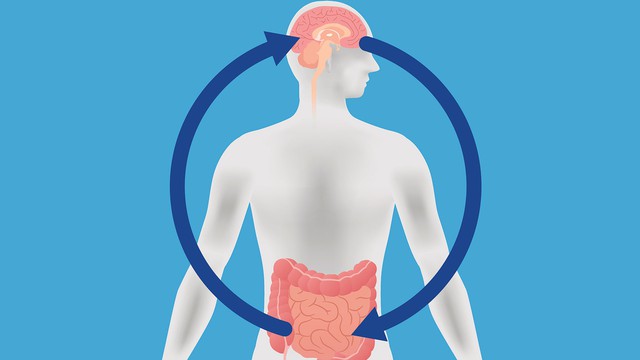 Chuyên gia dinh dưỡng và não bộ của Harvard: tránh 5 loại thực phẩm có thể khiến bạn ‘mệt mỏi và căng thẳng’ - Ảnh 1.