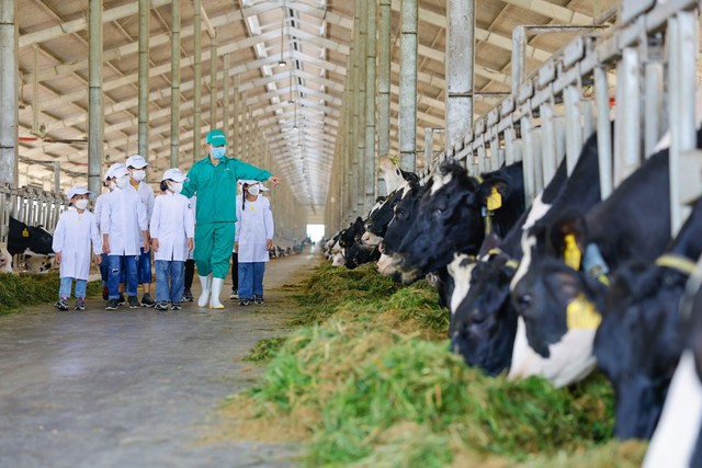 Vinamilk thuộc TOP 50 doanh nghiệp phát triển bền vững tiêu biểu năm 2022 - Ảnh 5. Vinamilk thuộc TOP 50 doanh nghiệp phát triển bền vững tiêu biểu năm 2022 - Ảnh 5.