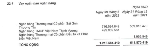 Chuối và heo đem về 3 tỷ đồng lãi gộp mỗi ngày, nhưng vẫn chưa giúp bầu Đức nhẹ gánh vay nợ - Ảnh 2.