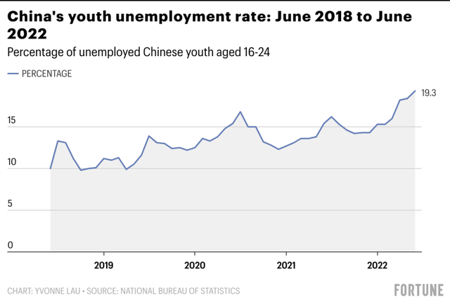 Khủng hoảng việc làm tồi tệ ở Trung Quốc: 1/5 người trẻ thất nghiệp, chính phủ khuyến khích... về quê khởi nghiệp - Ảnh 2.