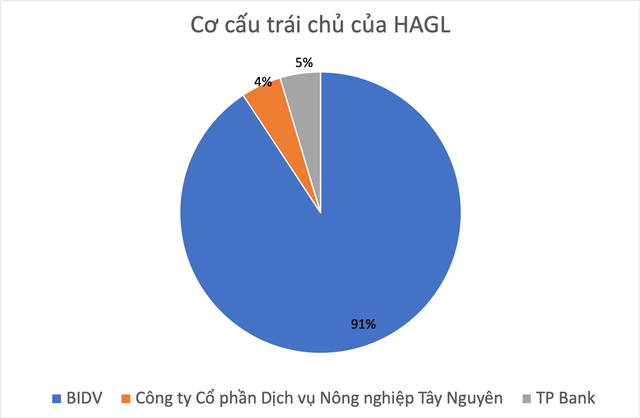 Thêm một lần đánh cược vào chăn nuôi, bài toán tài chính chưa bao giờ dễ dàng với bầu Đức - Ảnh 1.