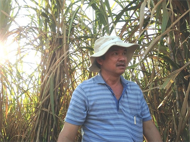 8 năm sau khi mua đứt nông trường mía của bầu Đức tại Attapeu (Lào), Thành Thành Công mua tiếp nông trường ở Úc, chiếm 26% tổng sản lượng mía của Việt Nam. - Ảnh 2.