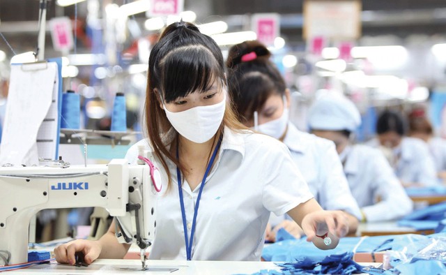 Bất chấp khó khăn bủa vây ngành, một doanh nghiệp dệt may Việt Nam vẫn thu hơn 6.000 tỷ đồng trong 10 tháng đầu năm - Ảnh 3.
