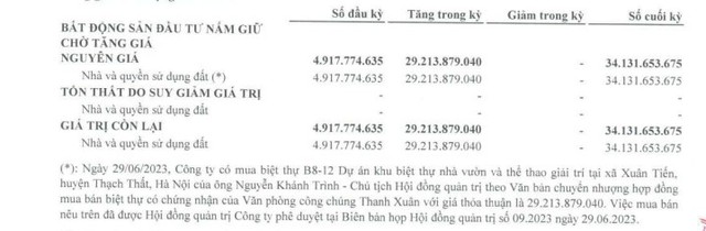 Mua lại biệt thự nhà vườn của Chủ tịch Nguyễn Khánh Trình, Clever Group bị kiểm toán nêu ý kiến ngoại trừ, HOSE yêu cầu giải trình - Ảnh 2.
