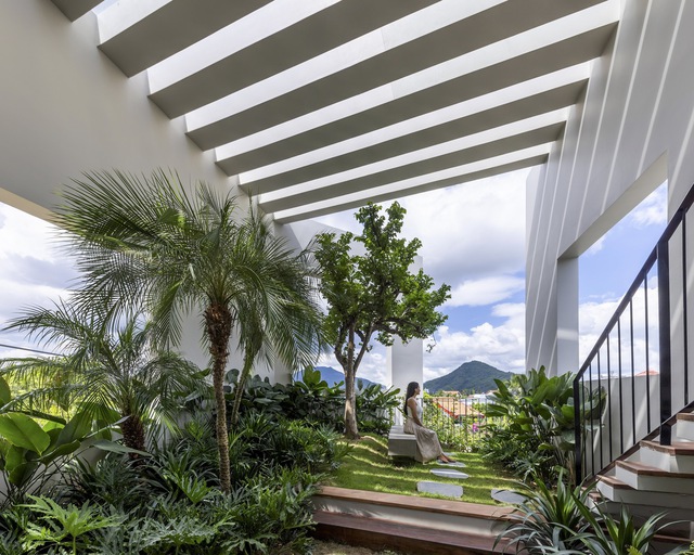 Cận cảnh căn nhà phố 100m2 như "ốc đảo xanh" giữa lòng đô thị: Được "ôm trọn" bởi cây xanh, mặt nước, ấn tượng với khu vườn trên cao - Ảnh 9. Cận cảnh căn nhà phố 100m2 như "ốc đảo xanh" giữa lòng đô thị: Được "ôm trọn" bởi cây xanh, mặt nước, ấn tượng với khu vườn trên cao - Ảnh 9.