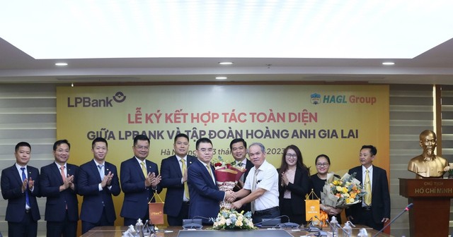 Lần đầu tiên Hoàng Anh Gia Lai tiết lộ lý do 2 lần Quỹ Việt Cát lỡ hẹn với cổ phiếu HAG  - Ảnh 2.