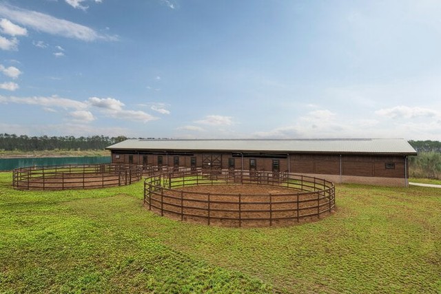 Tỷ phú Phạm Nhật Vượng xây học viện cưỡi ngựa dành riêng cho giới siêu giàu: Ngựa phiên bản giới hạn "cưỡi" máy bay về Việt Nam, tắm nước ấm, ở phòng điều hòa - Ảnh 5.