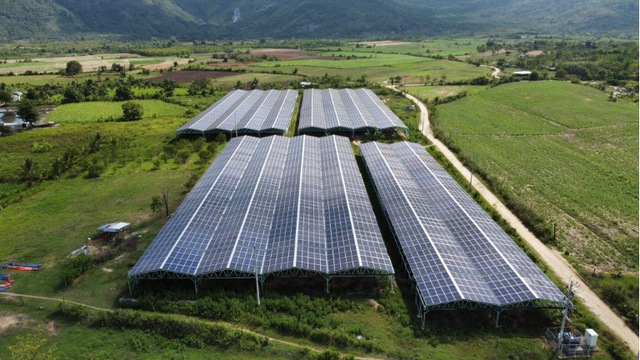 Beacon Fund rót vốn vào một doanh nghiệp để phát triển năng lượng mặt trời mái nhà kết hợp nông nghiệp thông minh  - Ảnh 1.