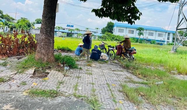 Đất nền tỉnh: Cơ hội đầu tư hay chỉ là cuộc chơi “sai thì bỏ, đúng thì lời”? - Ảnh 2. Đất nền tỉnh: Cơ hội đầu tư hay chỉ là cuộc chơi “sai thì bỏ, đúng thì lời”? - Ảnh 2.