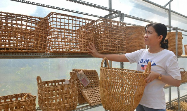 "Cái khó ló cái khôn" ở bán đảo Cà Mau: Xen canh cỏ năn tượng vào đầm tôm bị xâm nhập mặn, tăng sinh kế cho 3.000 phụ nữ U60 ở miền Tây, tạo ra 1 triệu sản phẩm thủ công xuất khẩu toàn cầu- Ảnh 4.