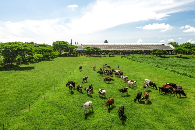 Tạo hệ sinh thái nông nghiệp bền vững: Không thể không làm để đến Net Zero- Ảnh 6.