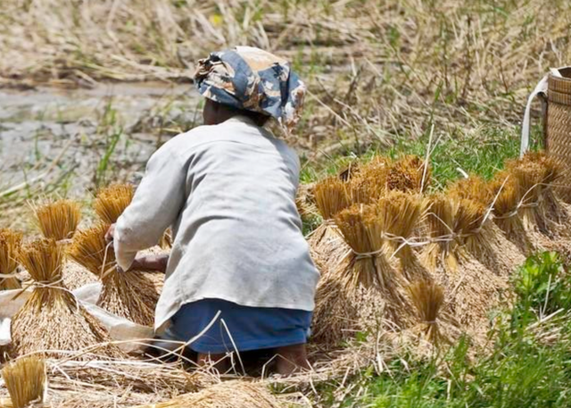 Tôi 62 tuổi, giờ hối hận: Lấy chồng như đánh canh bạc, sống khổ đến gần hết đời, giờ chỉ biết dựa vào con- Ảnh 2.